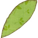 MLIVA_UBI-leaf4