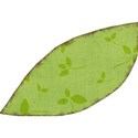 MLIVA_UBI-leaf3