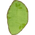 MLIVA_UBI-leaf2