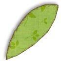 MLIVA_UBI-leaf7