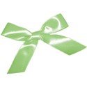 lime bow