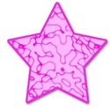cammo pink star