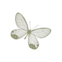 dvessels_laylapagekit_butterfly