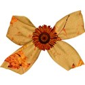 brown flower bow