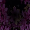Purpleblackflowersmat
