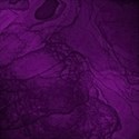 purple background 111