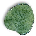 leaf1-gg-mikki