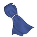 ribbon 1 blue