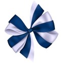 o ribbon bow 2