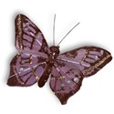 MLIVA_UBI-butterfly2