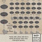 Baby Month Hangers