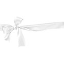 bow ribbon white
