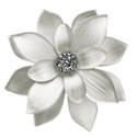 flower white silver