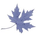 leaf blue