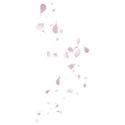 petals float pink