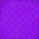 paper purple 05