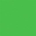 paper green 01