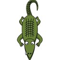 0 alligator