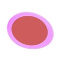 frame egg pink
