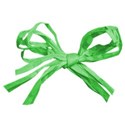 bow raffia 01 green