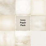 Ivory Paper Pack 02