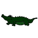 a-alligator1