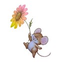 rainbow daisy mouse2