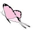 Pink bitterfly