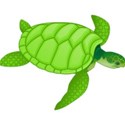 t-turtle1
