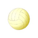v-volley-ball1