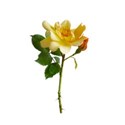 rose yellow stem