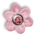 mliva-pink-flower10