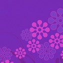 flower purple background
