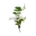 greenery flower white