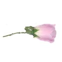 pink rose_edited-1