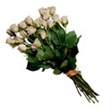 champagne roses bunch