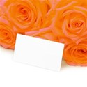 apricot and white background