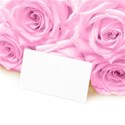 Pink rose Background
