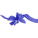 ribbon bow blue