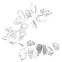 2 silver leaves