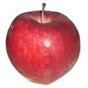 apple 02