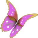 butterfly 4
