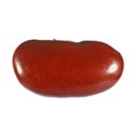 kidney bean 1