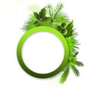 circle green emb
