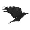 crow 2