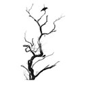 tree skeleton 2