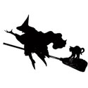 witch broom flying cat
