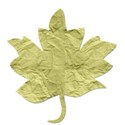 Green Paper Leaf