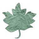 Teal Paper Leaf