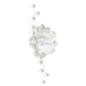 white flower spray